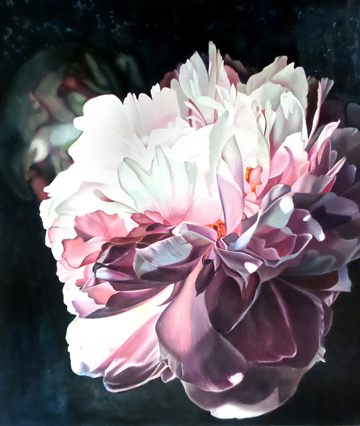 Shadows and Sail by Clare Toms | Lethbridge Gallery